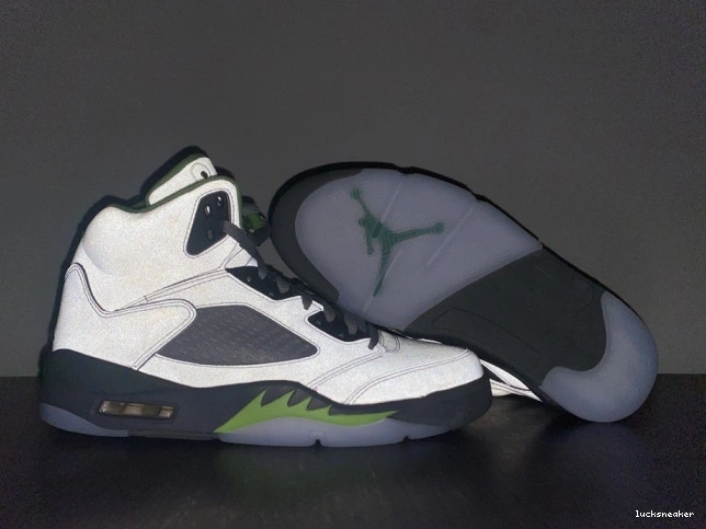Reps LUCY 5 Jordan DM9014-003 (2022) Green Retro Bean 0701
